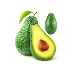 Avocado Fruit
