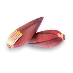 Banana Flower (Kolar Mocha)