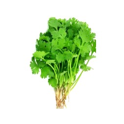 Coriander Leaves (Dhonia Pata)