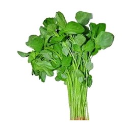 Data Shak (Data Spinach)
