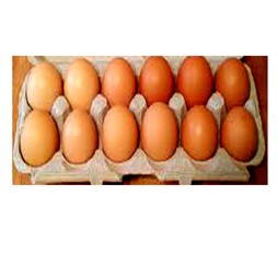 Egg