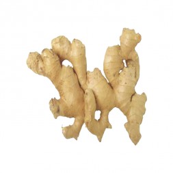 Ginger (Deshi)