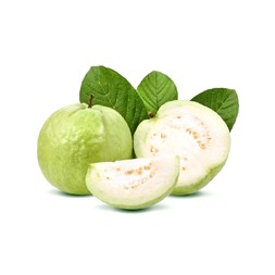 Guava Premium