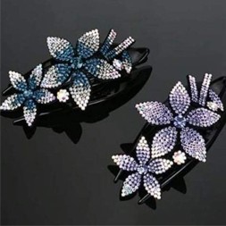 Hair Clip-1
