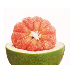 Jambura (Pomelo)