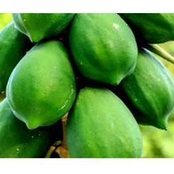 Kacha Pepe (Green Papaya)