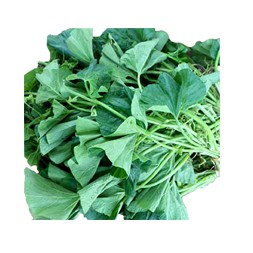 Lau Shak (Sweet Bitter Melon Leaves)