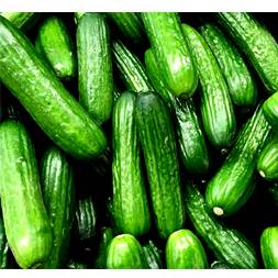Local Cucumber