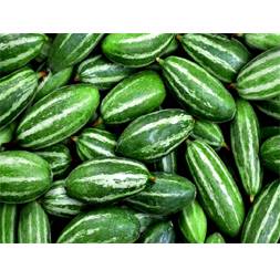 Potol (Pointed Gourd)