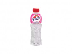 Pran Drinko Litchi Juice