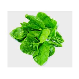 Pui Shak (Pui Spinach)
