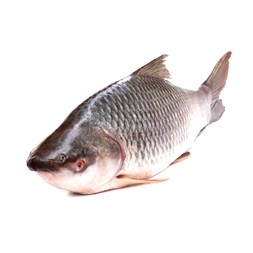 Rui Fish After Cutting