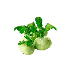 Shalgom