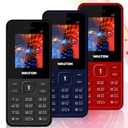 Walton Olvio - L3