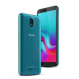 Walton Primo D10